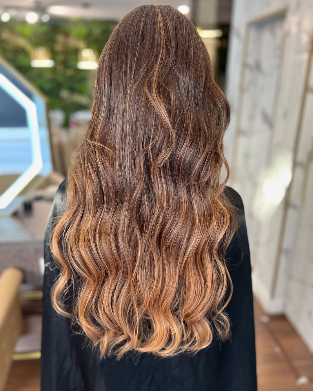 Coloração WD Studio Hair